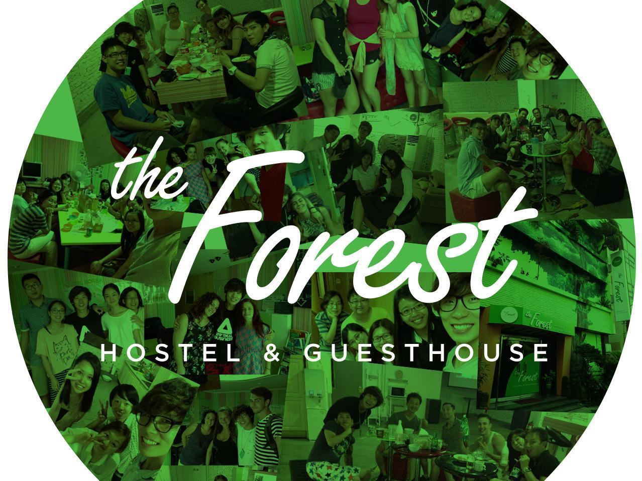 The Forest Hostel Чеджу Екстериор снимка